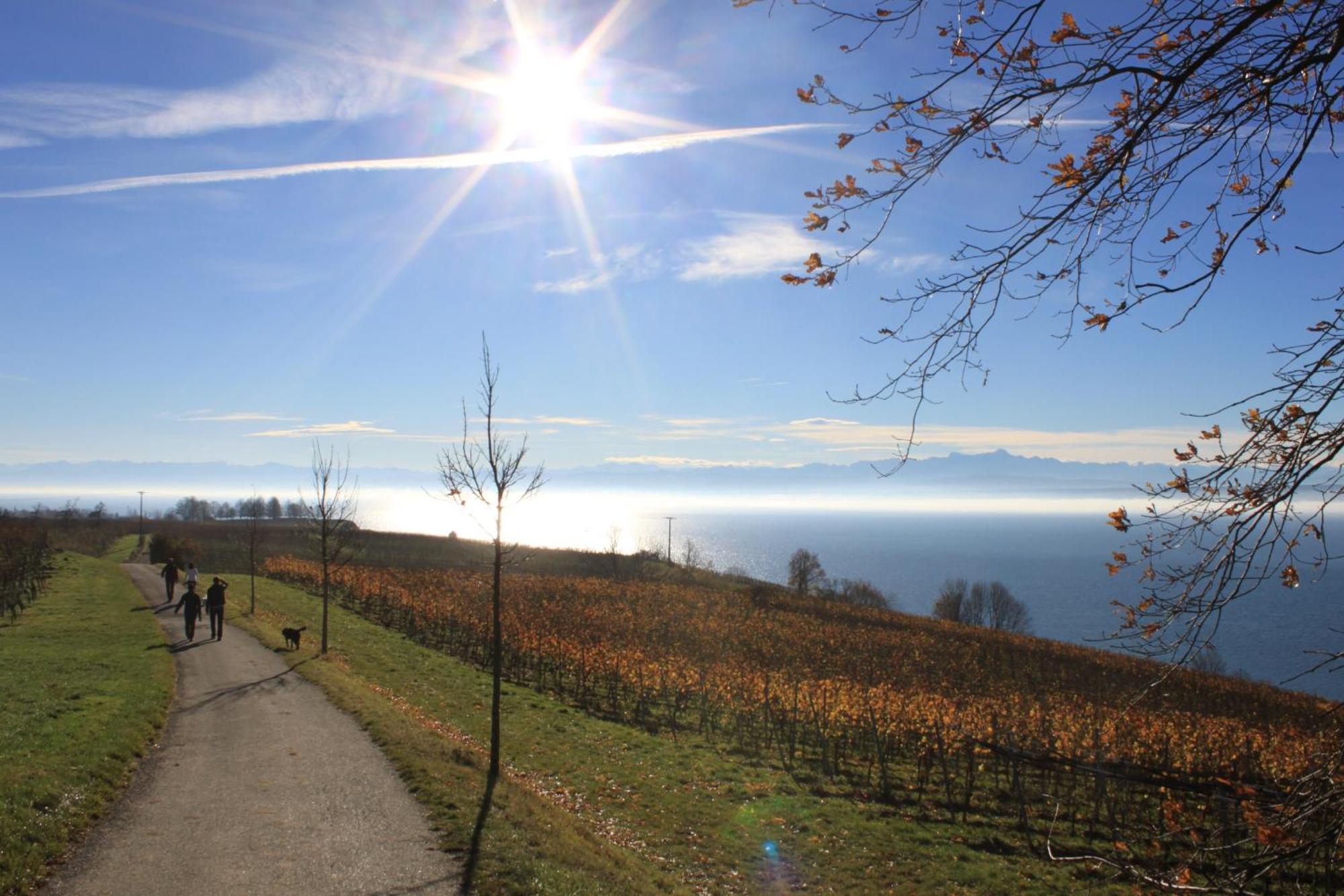 Hotel Garni Eden Meersburg Luaran gambar